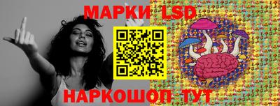 гидропоника Шебекино