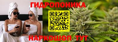 гидропоника Шебекино